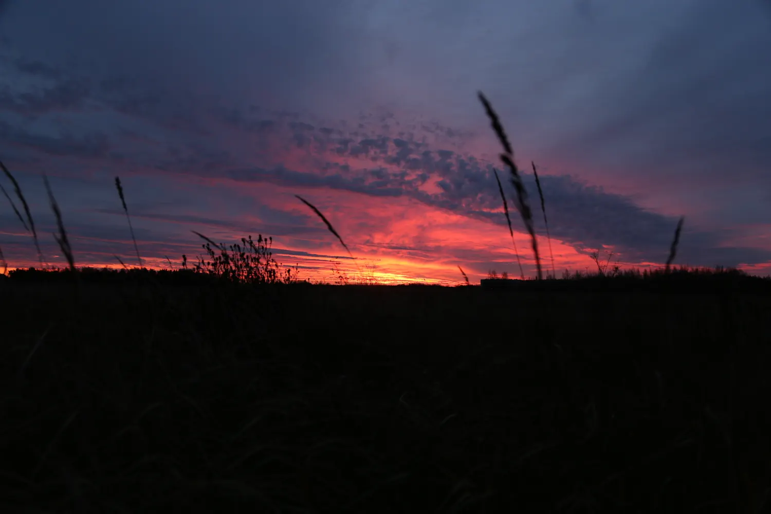 Landscape photography 1