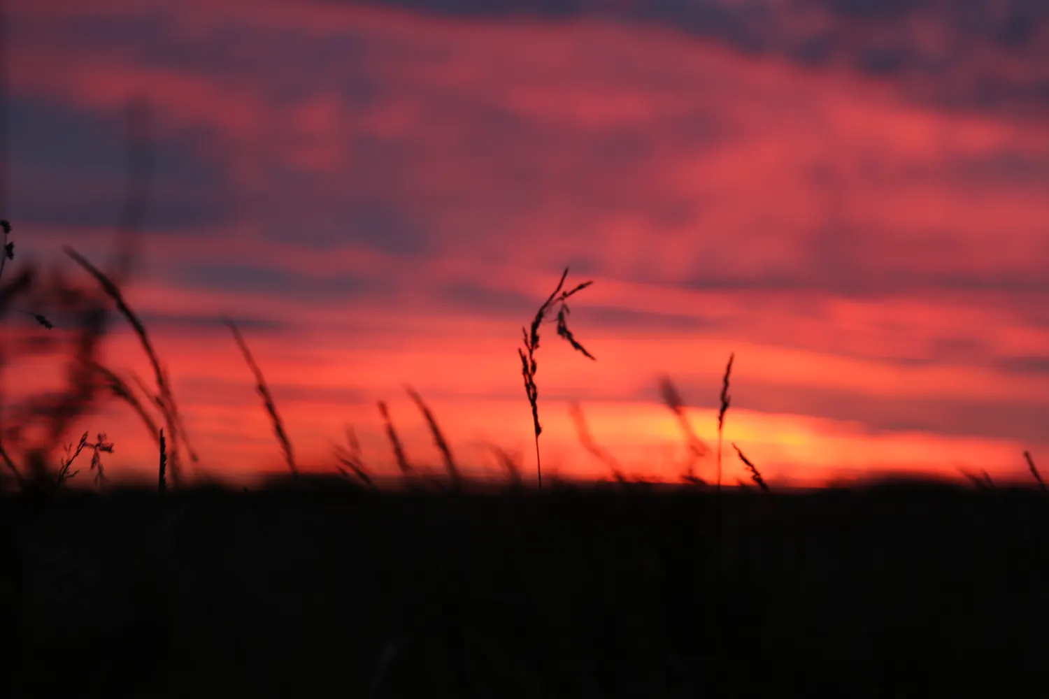 Landscape photography 3